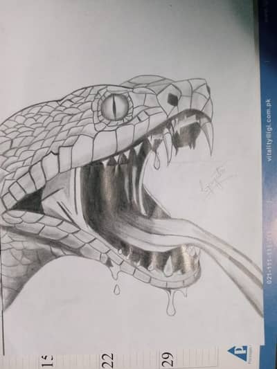 pencil sketch