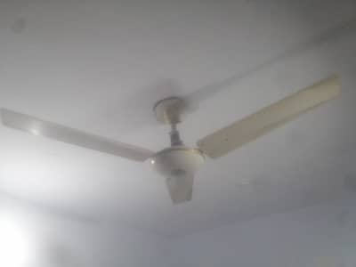 general fan