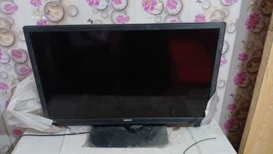 orient led for sale