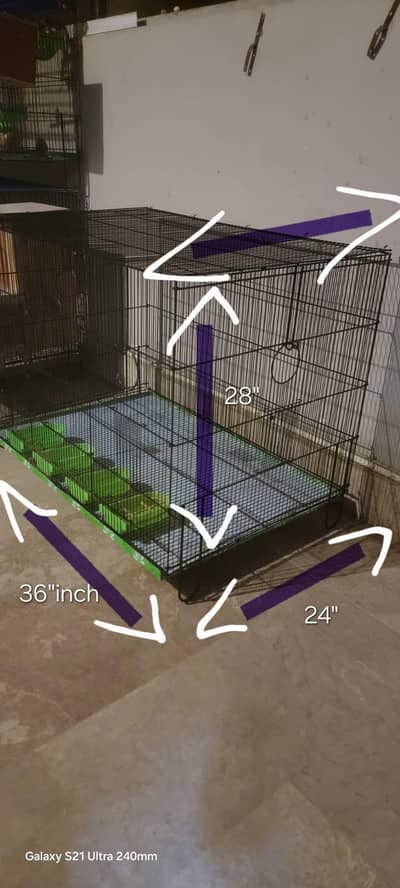 master cage