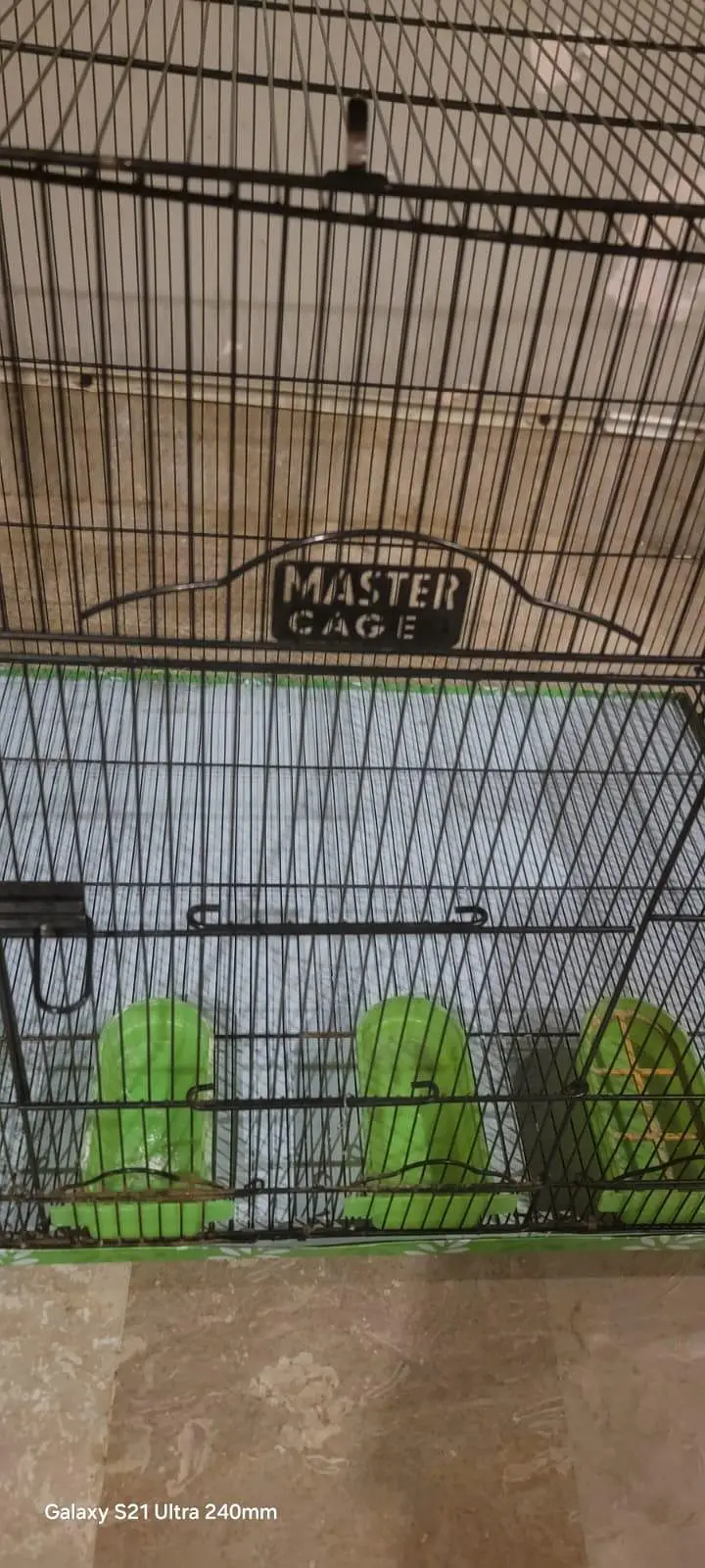 master cage — photo 2