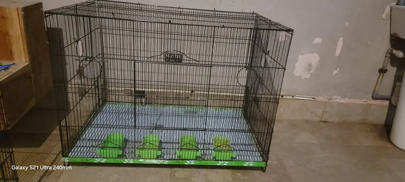 master cage — photo 3