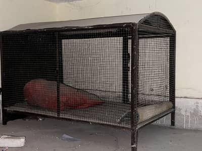 All steel animal cage