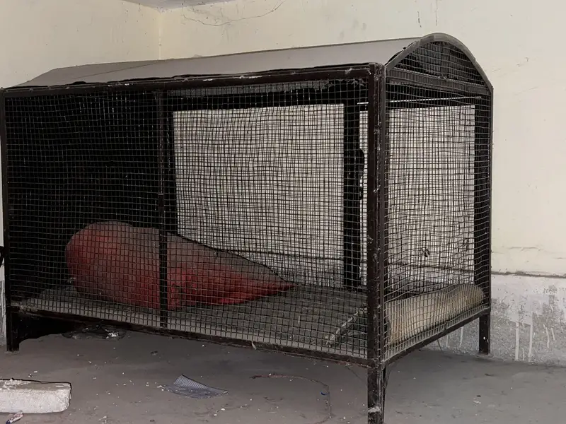All steel animal cage