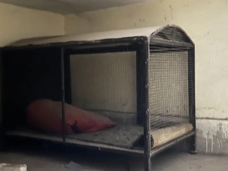 All steel animal cage — photo 2