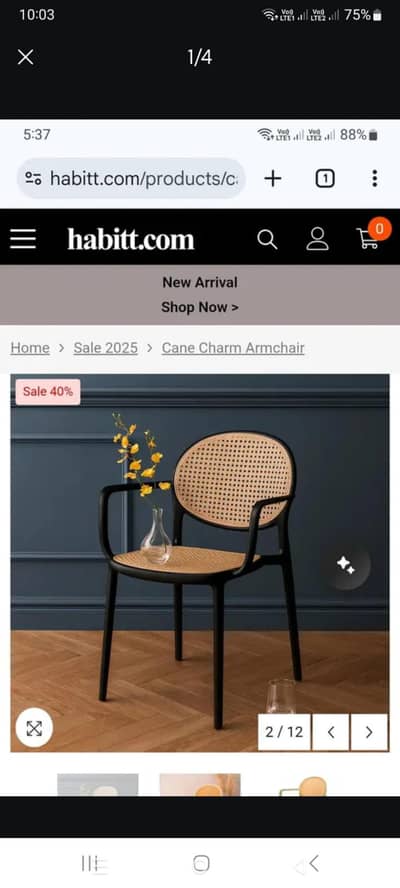 Ratten chairs