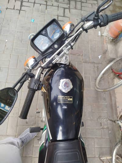 New candation ha