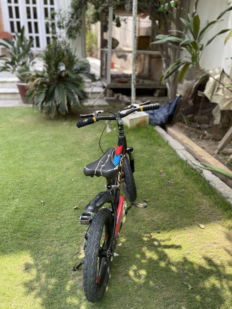 bicycle 1
