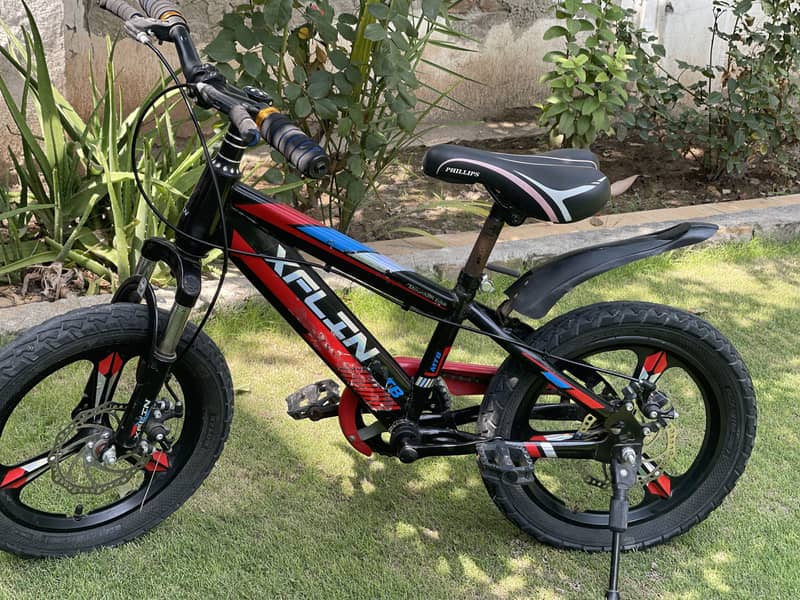 bicycle 2