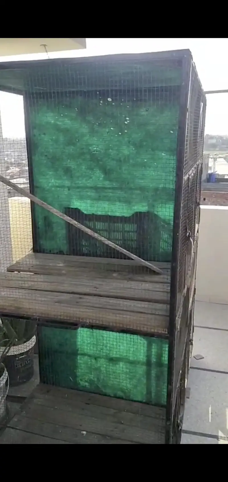 Steel Double portion Cage for sale — photo 6