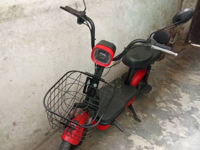 evee flipper model 2026