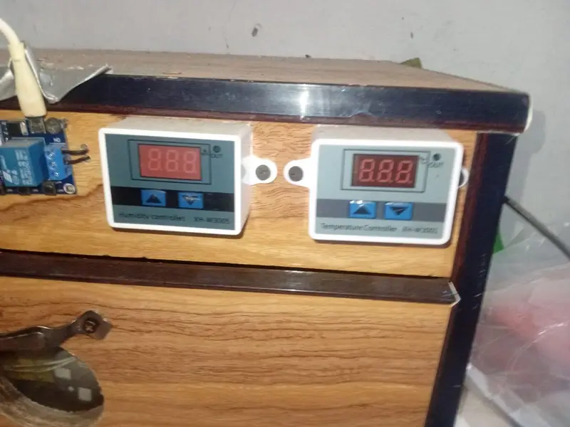 new incubator 10. by 9 — photo 2