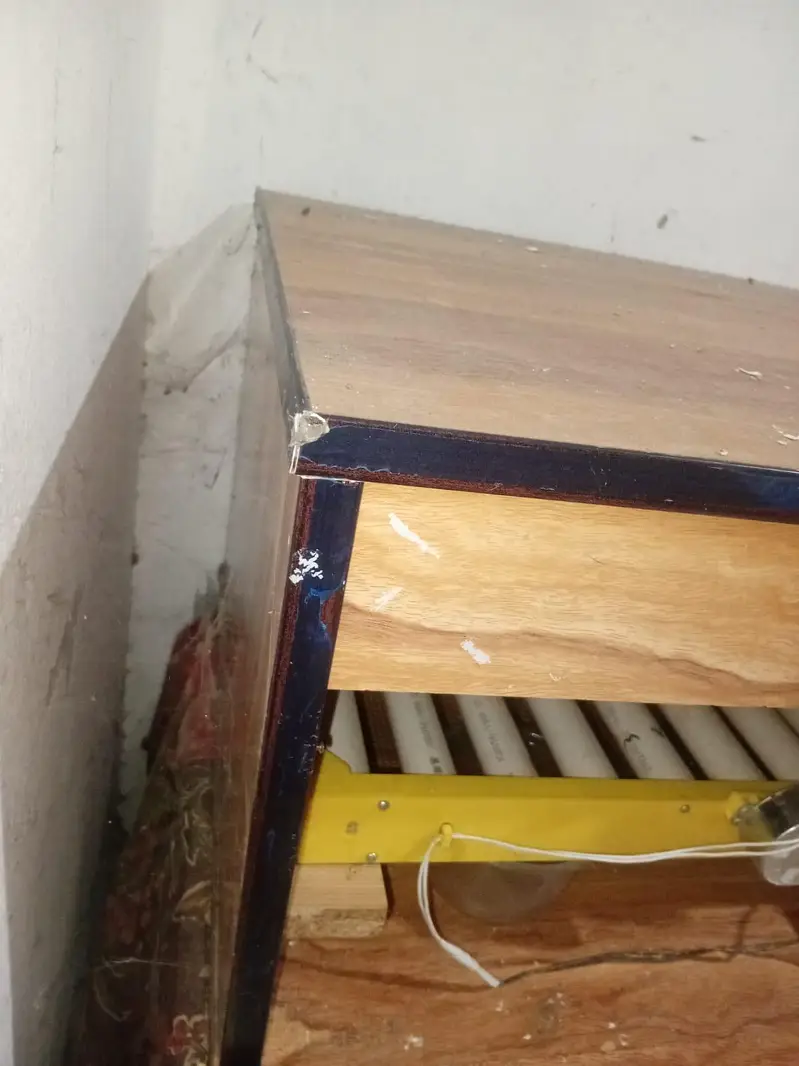 new incubator 10. by 9 — photo 3