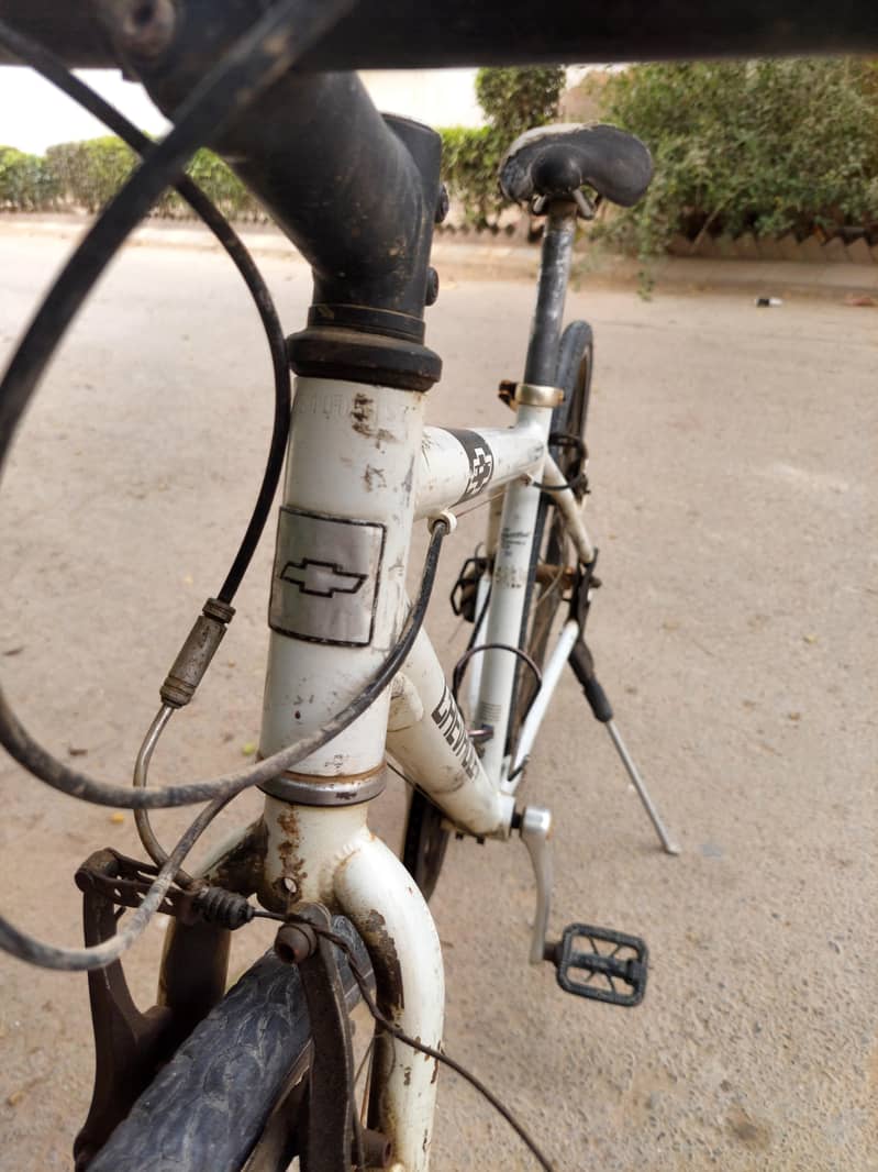 cheverlote cycle 0