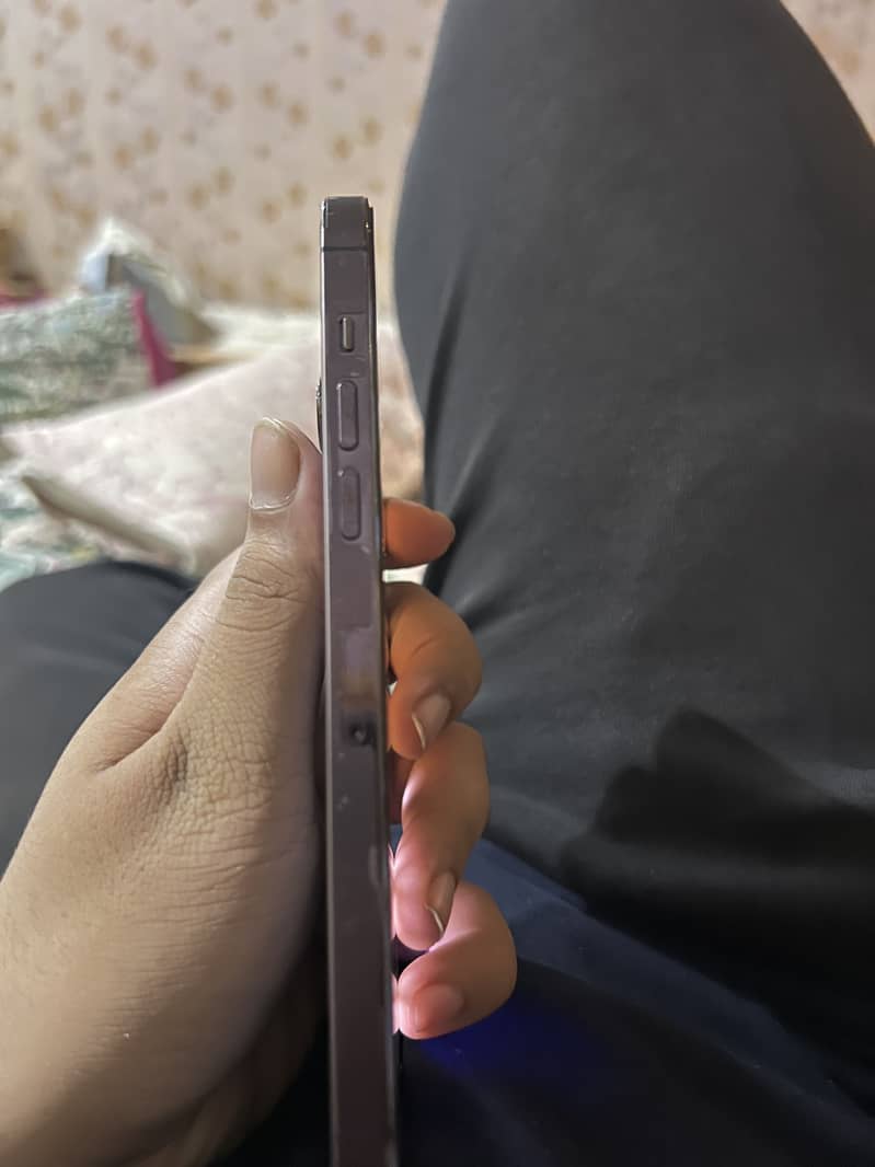 Apple iPhone 14 Pro Max 1
