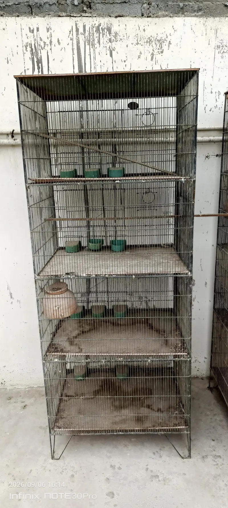 4 khany cage — photo 2