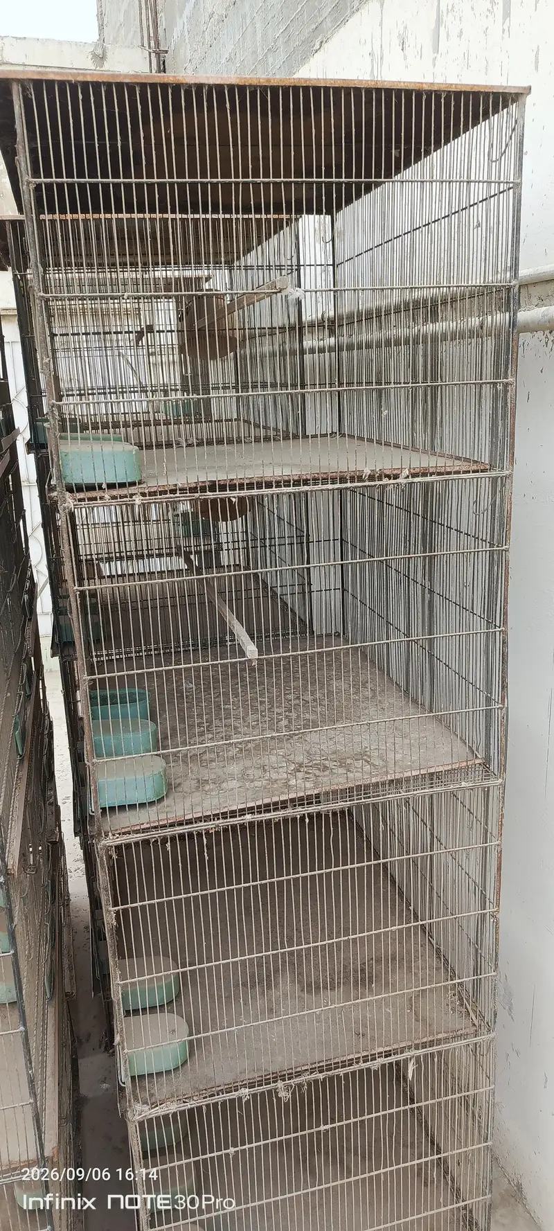 4 khany cage — photo 3