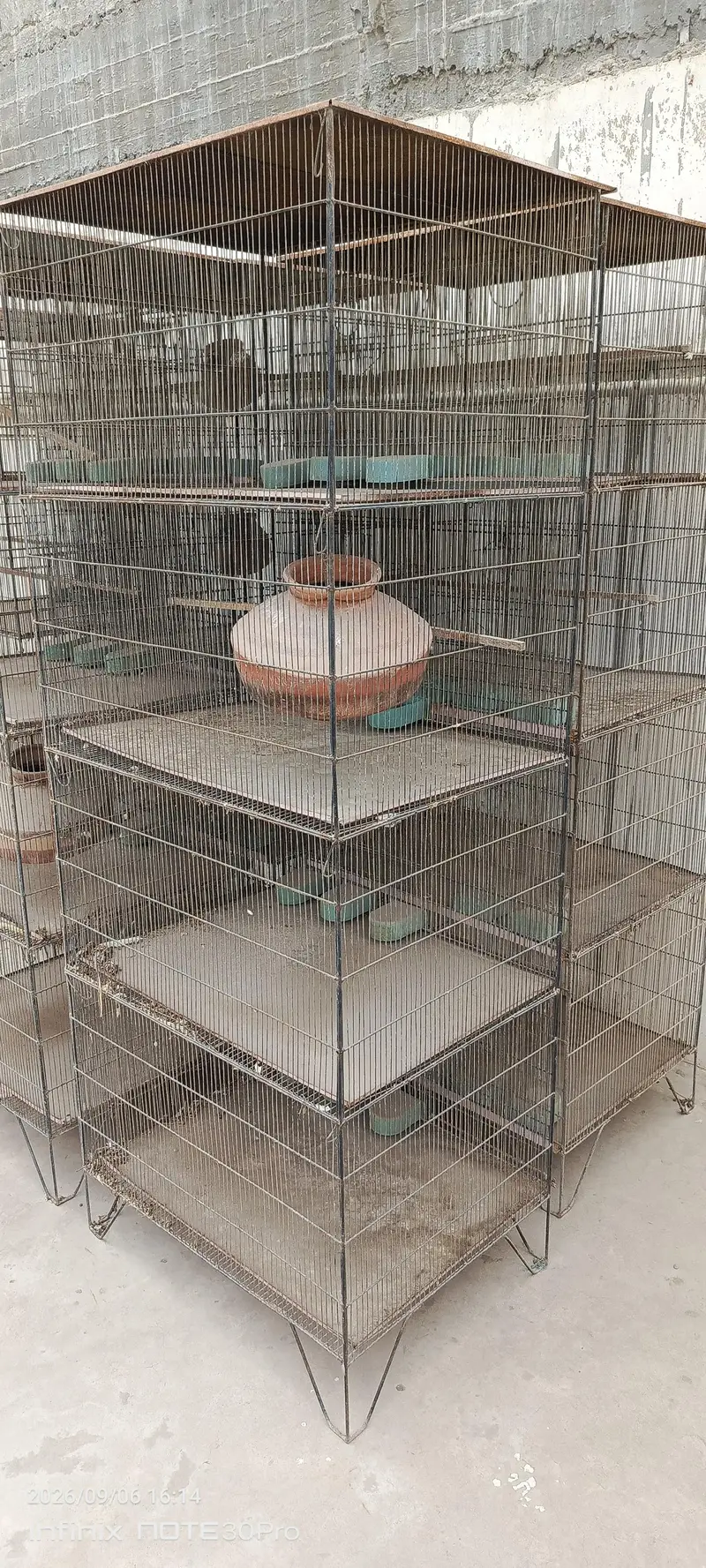 4 khany cage — photo 4