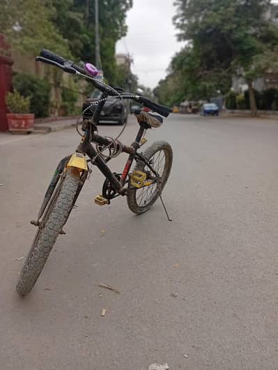 Bicycle for Sell
