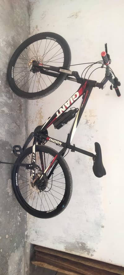 Giant Mountain Cycle 50000 0302-2599436