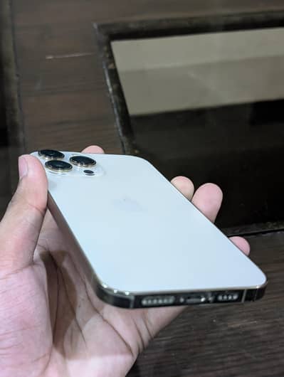 Apple iPhone 13 Pro Max