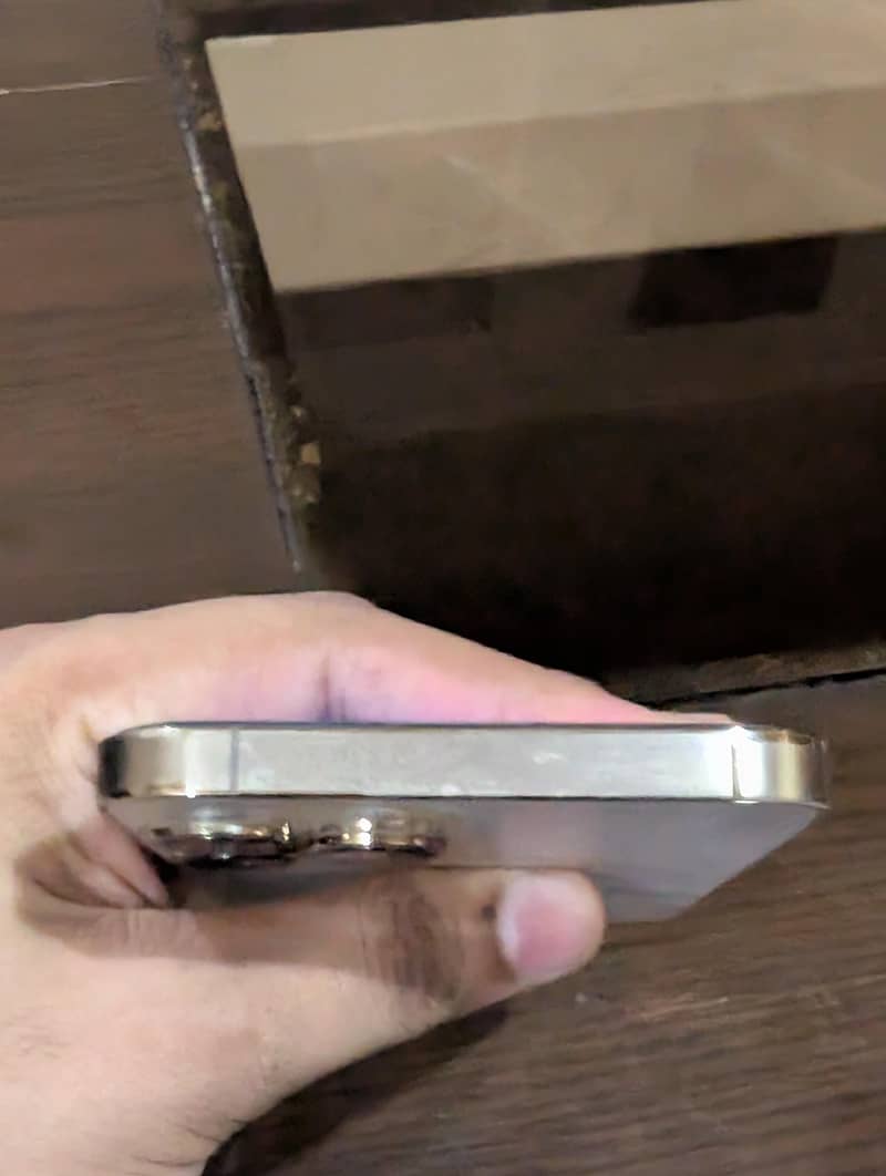 Apple iPhone 13 Pro Max 1