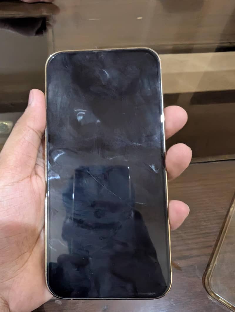 Apple iPhone 13 Pro Max 2