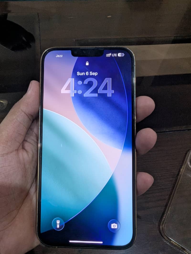 Apple iPhone 13 Pro Max 6