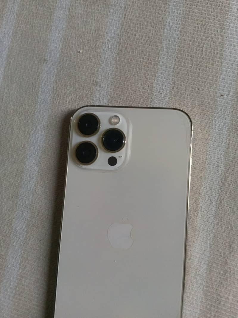 Apple iPhone 13 Pro Max 1