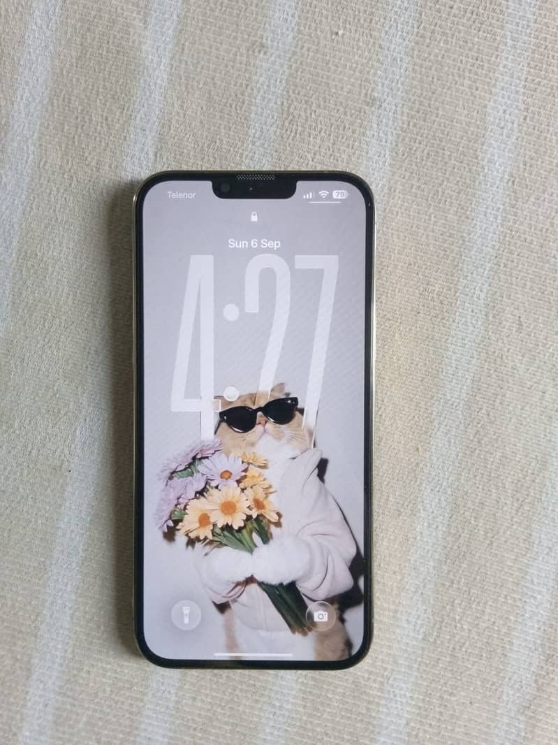 Apple iPhone 13 Pro Max 2