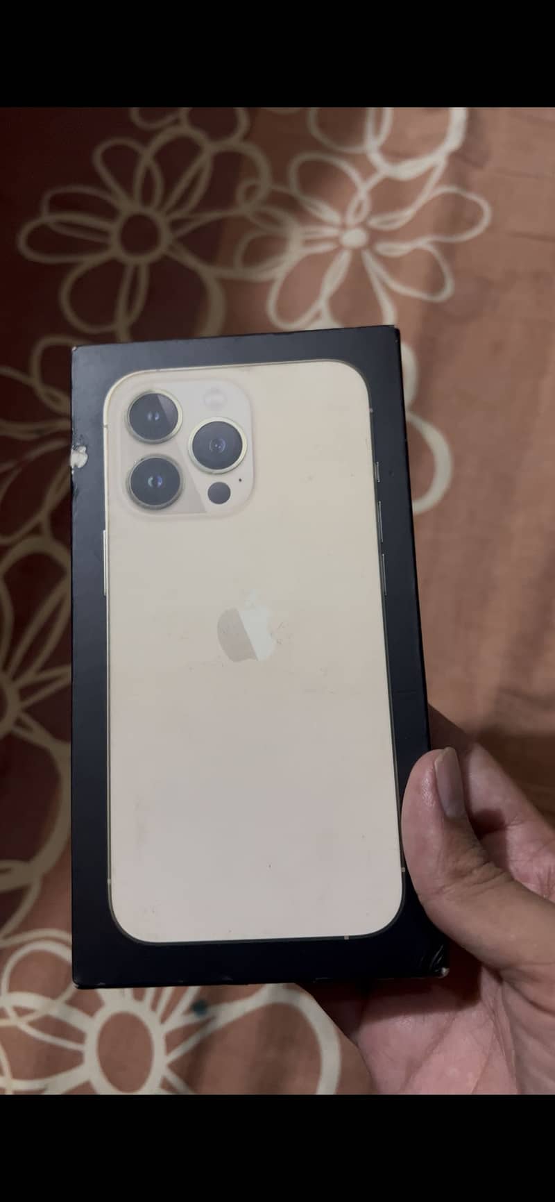 Apple iPhone 13 Pro 1