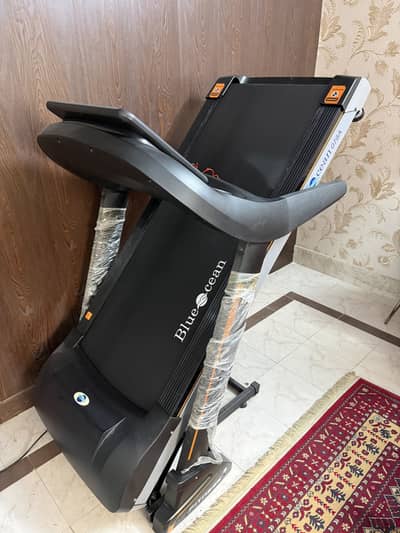 Blue Ocean Treadmill