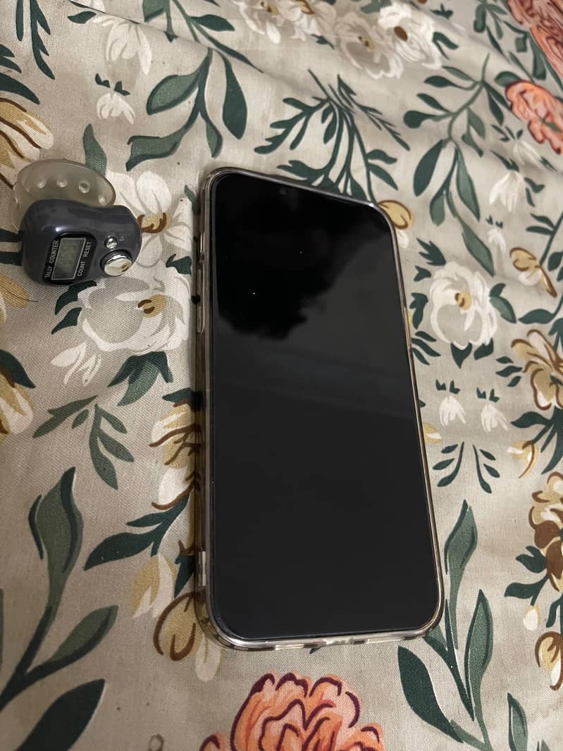 Apple iPhone 13 Pro Max 1