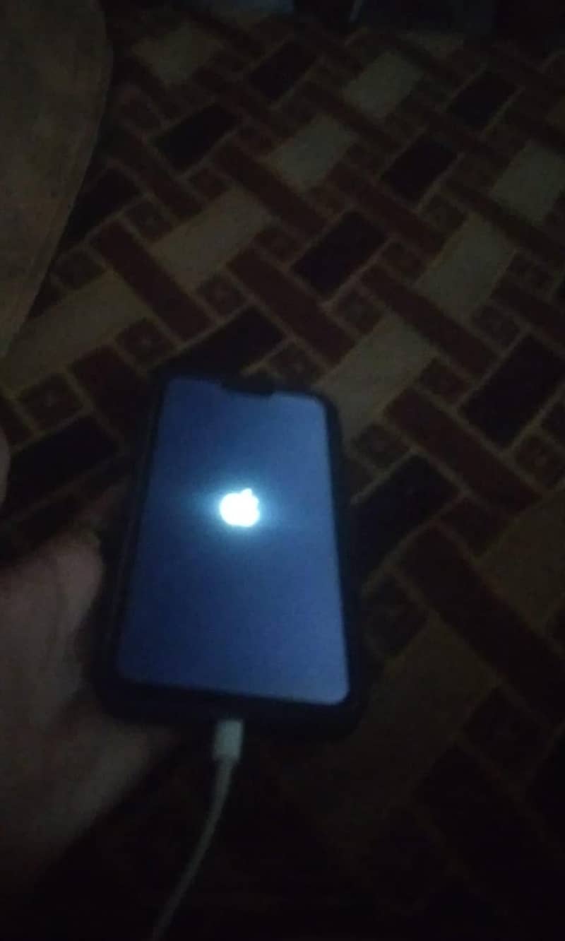 Apple iPhone 13 Pro Max 1