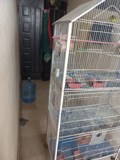 bird cage