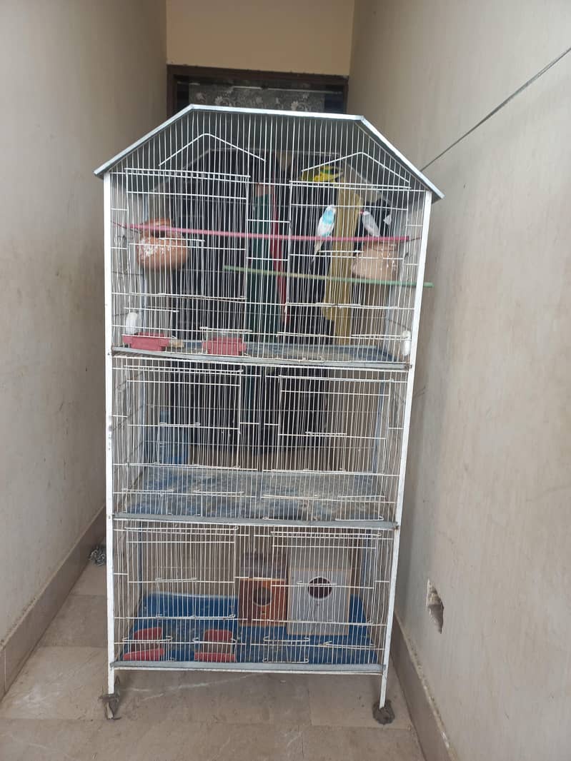 bird cage 1