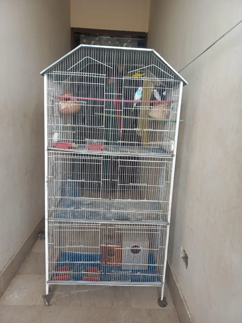 bird cage — photo 2
