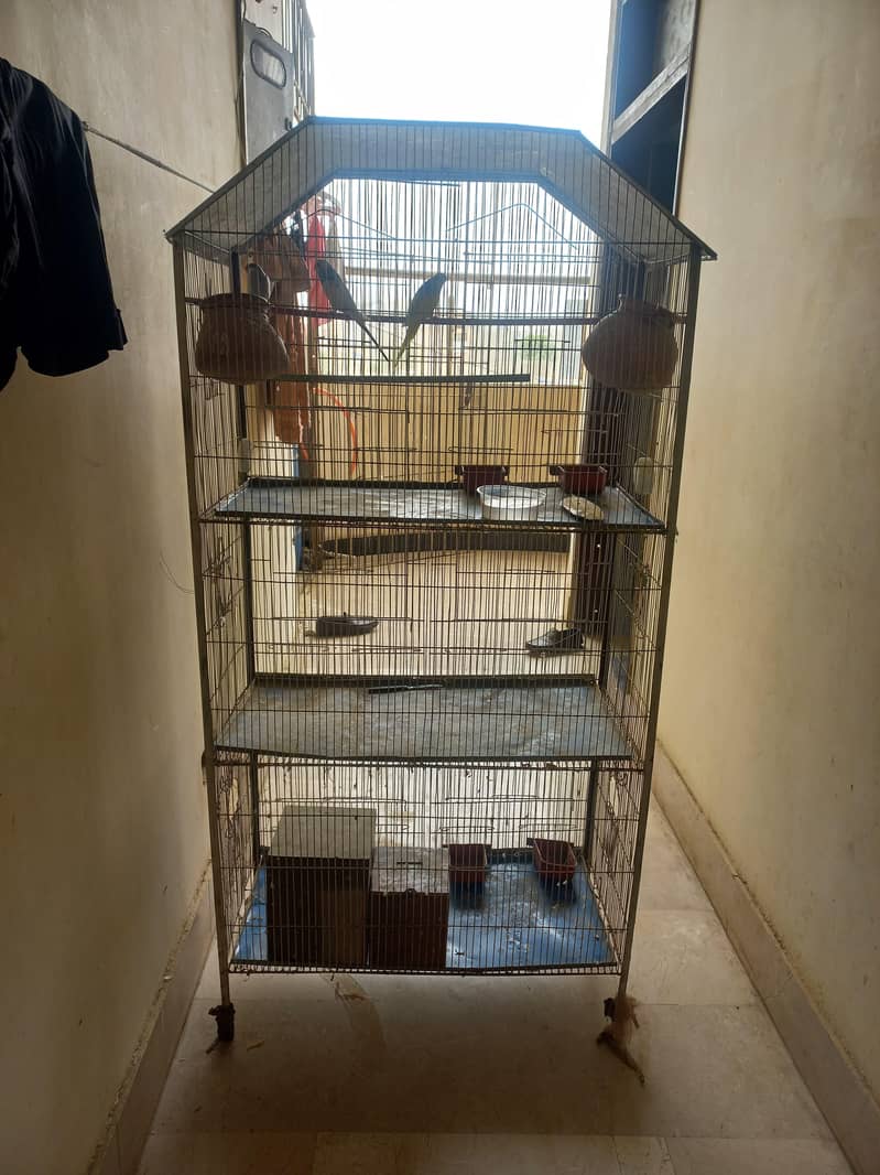 bird cage 2