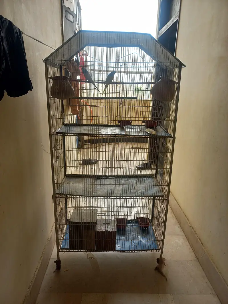 bird cage — photo 3