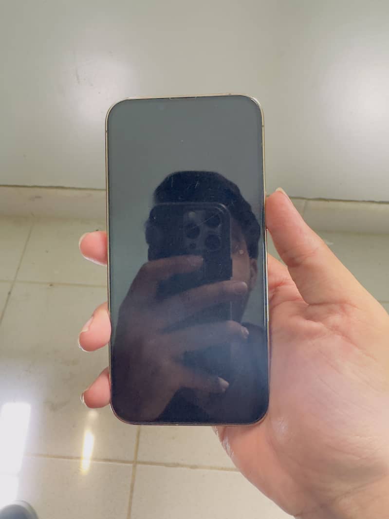 Apple iPhone 13 Pro 3