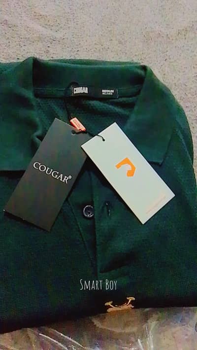 cougar