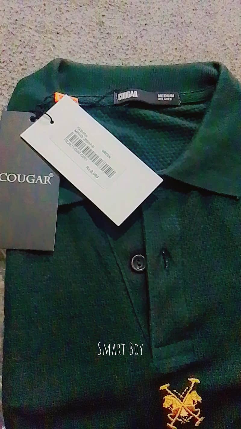 cougar 1