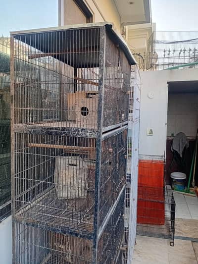 Cages for bird up for urgent sale