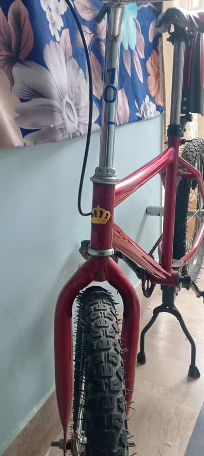 red cycle