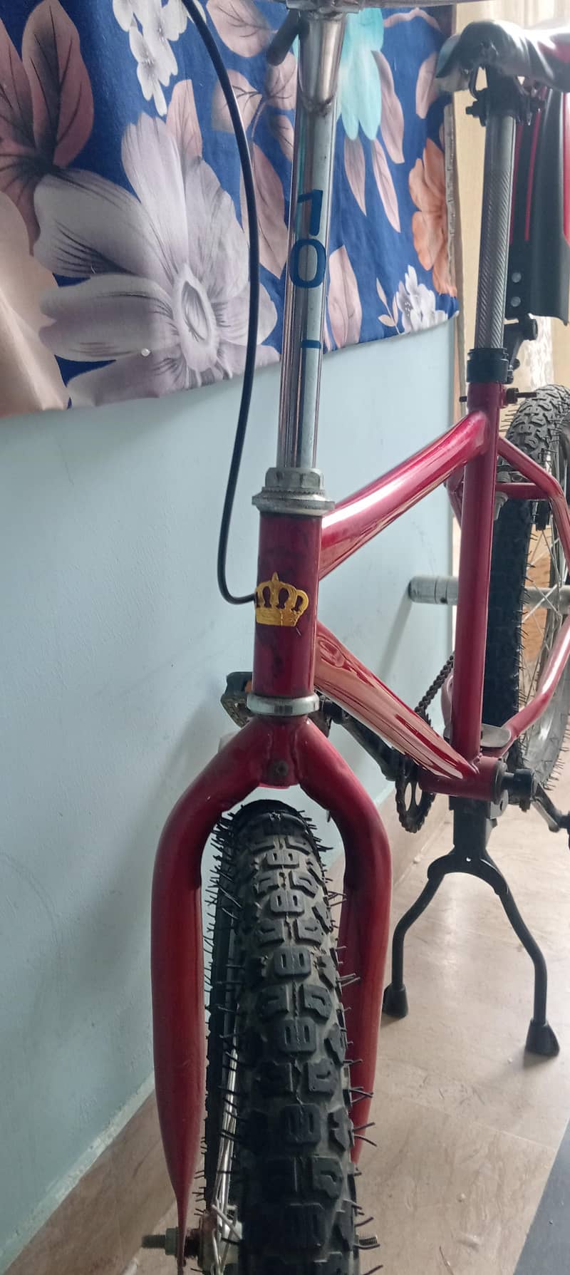 red cycle 0