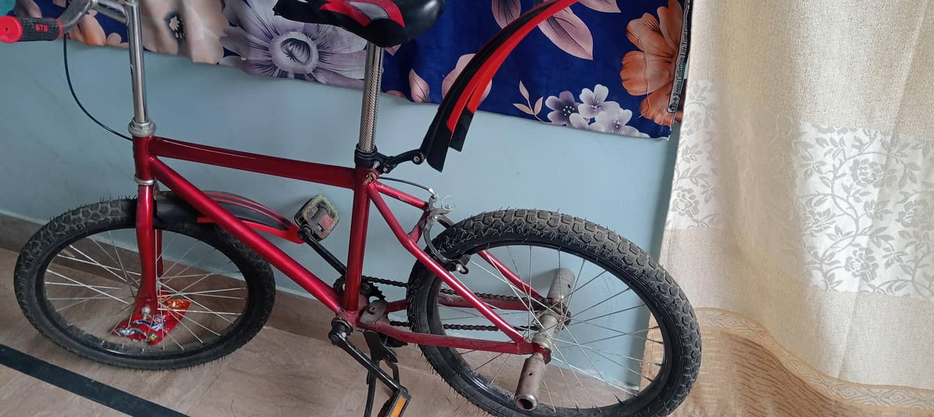 red cycle 1