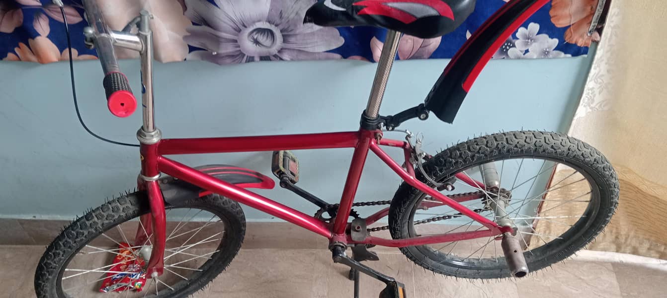 red cycle 2