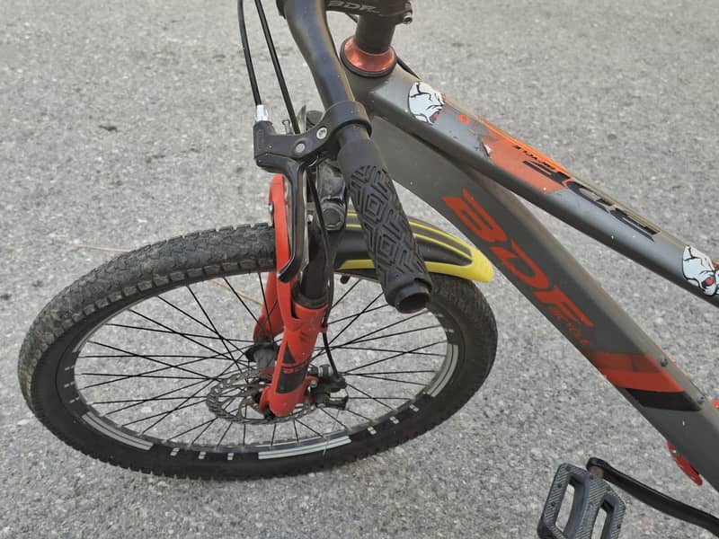 BDF bicycle 1