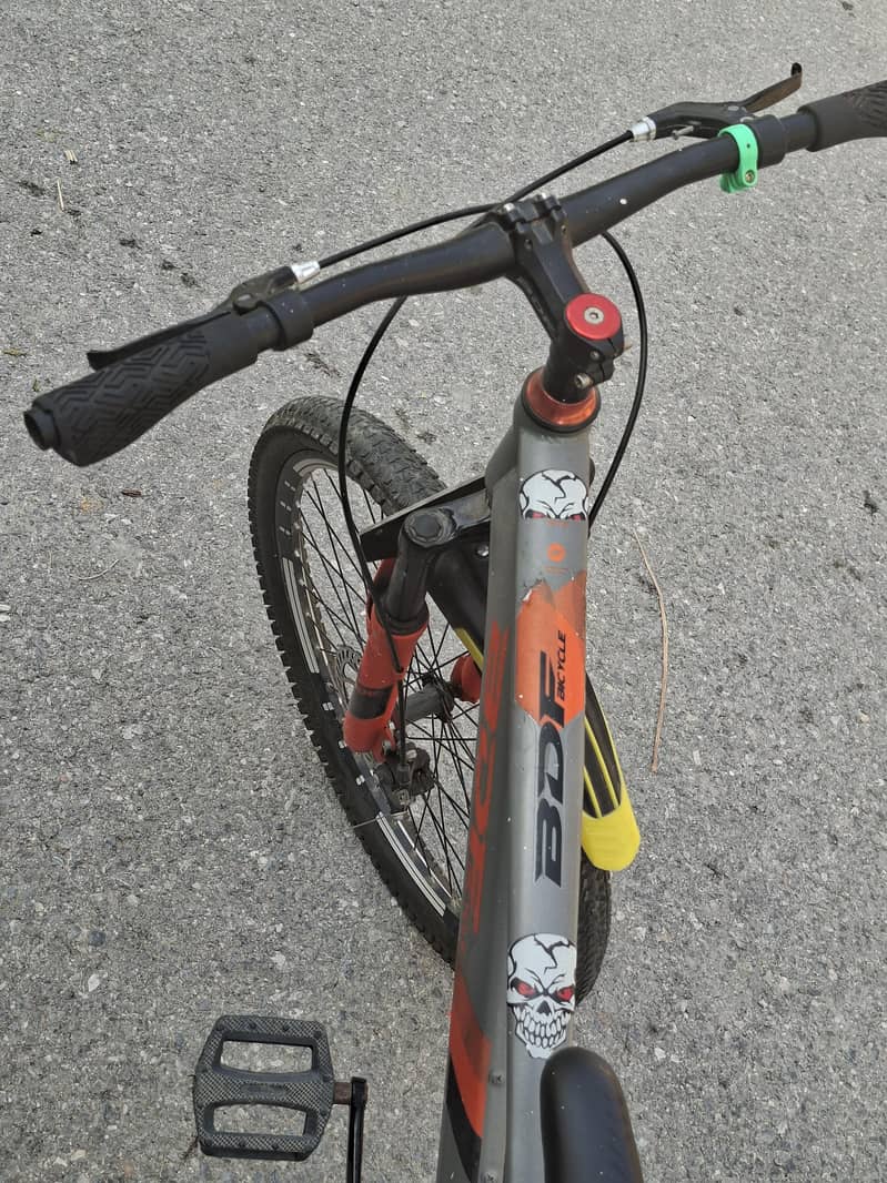 BDF bicycle 2