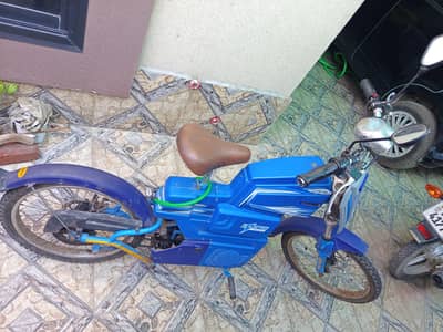 Electric Bike for Kids